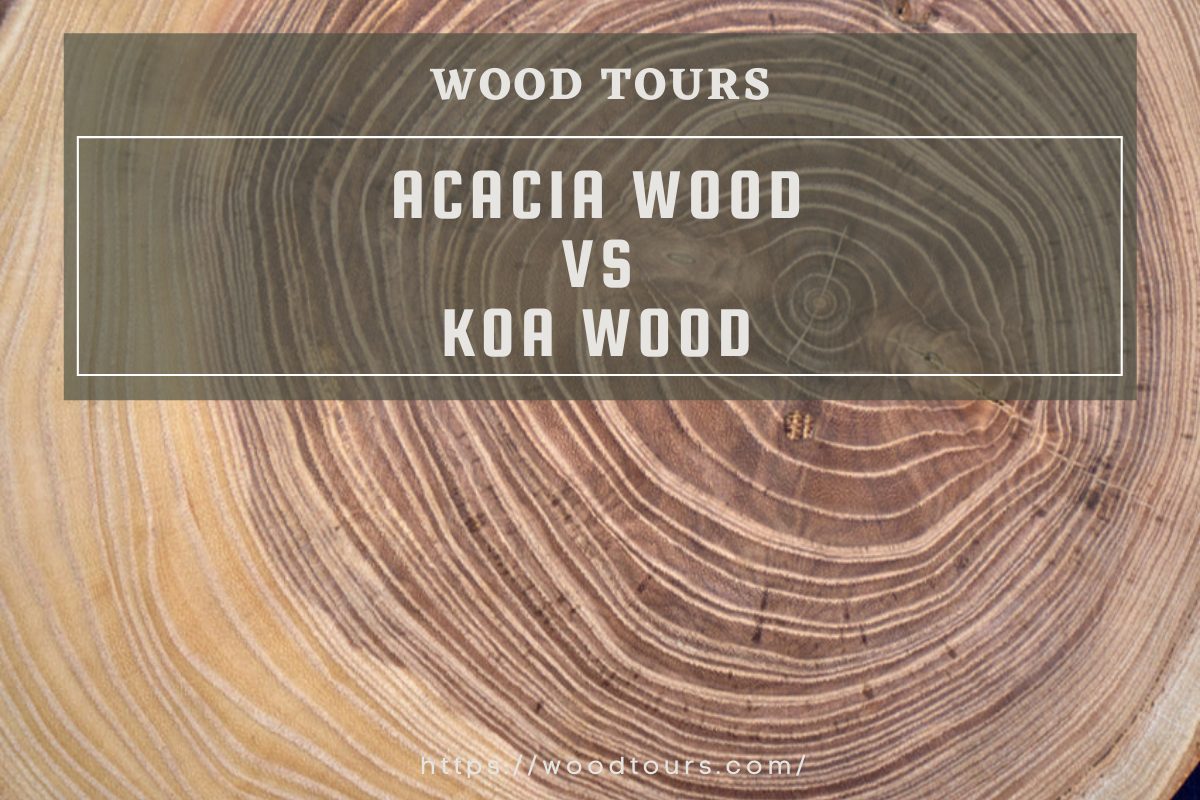 Acacia Wood VS Koa Wood
