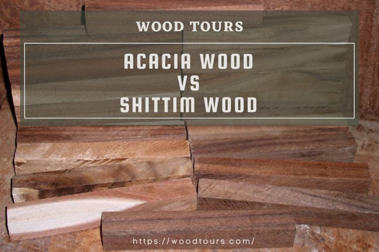 Acacia Wood Vs Shittim Wood - WoodTours - Wood Tours