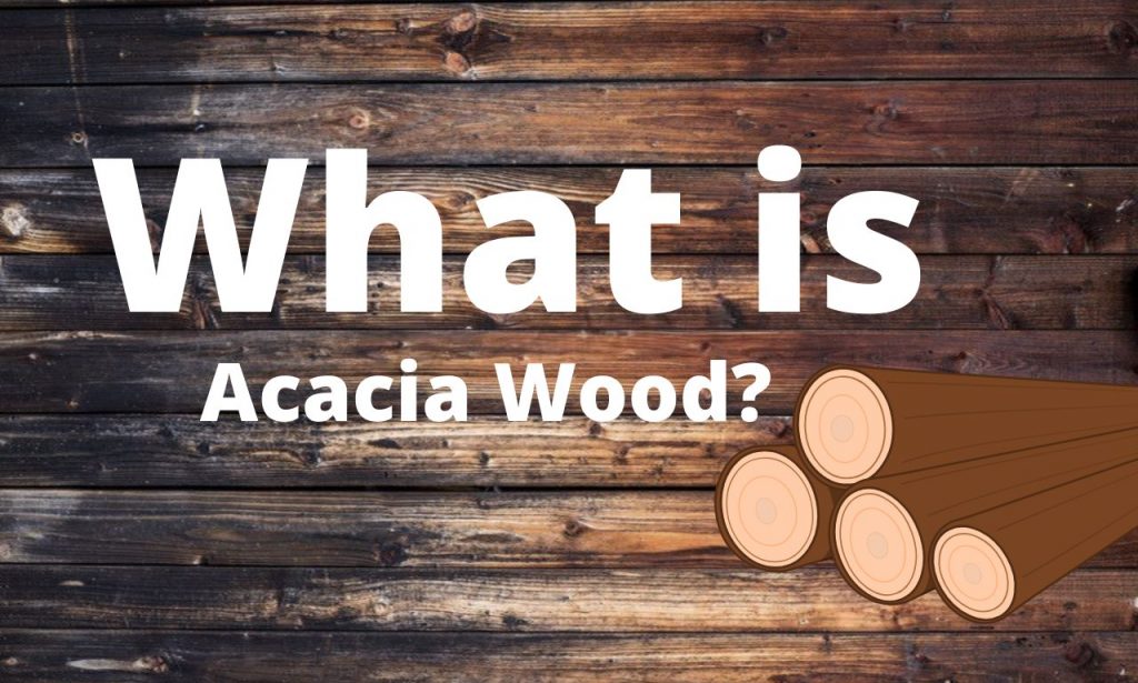 What is Acacia Wood? Trees within the Genus Acacia Wood Tours