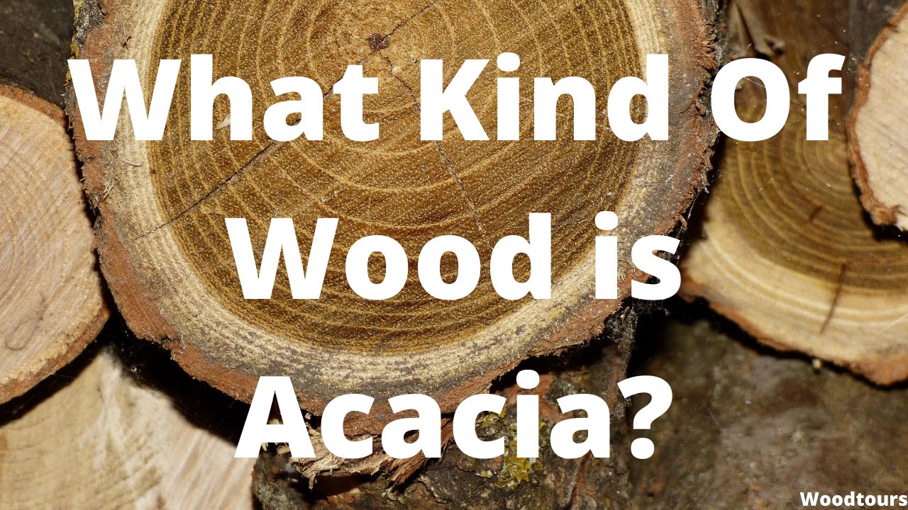 What Kind Of Wood is Acacia?
