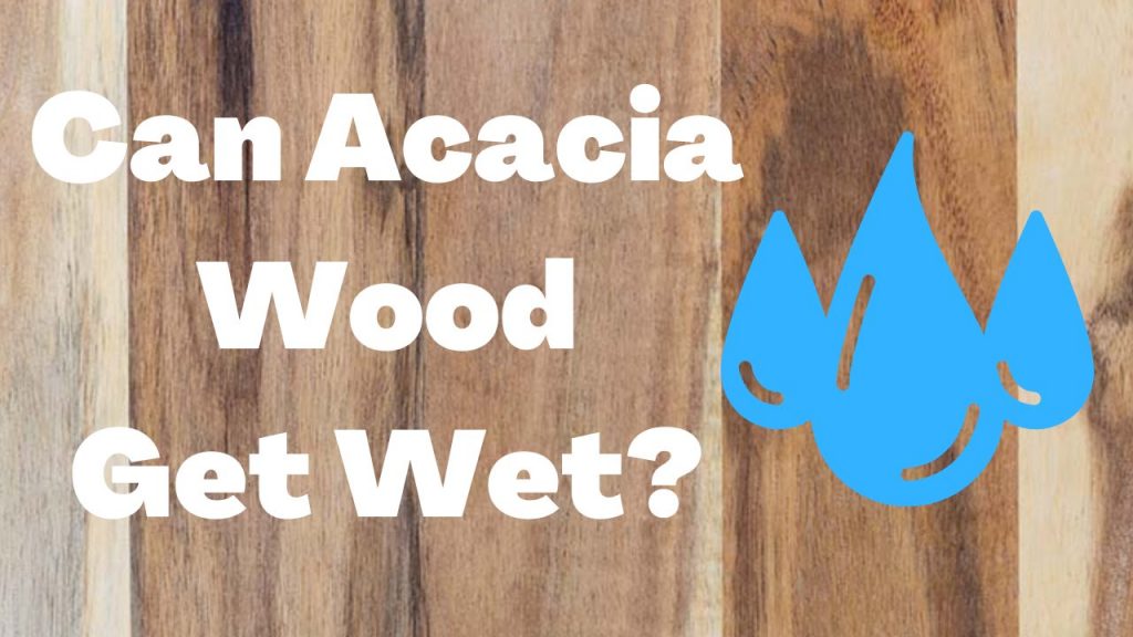 Can Acacia Wood Get Wet? Is It Possible Wood Tours