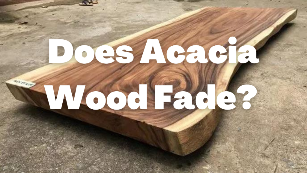 Does Acacia Wood Fade? Important Facts Wood Tours
