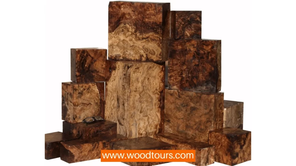 Walnut Wood Burl