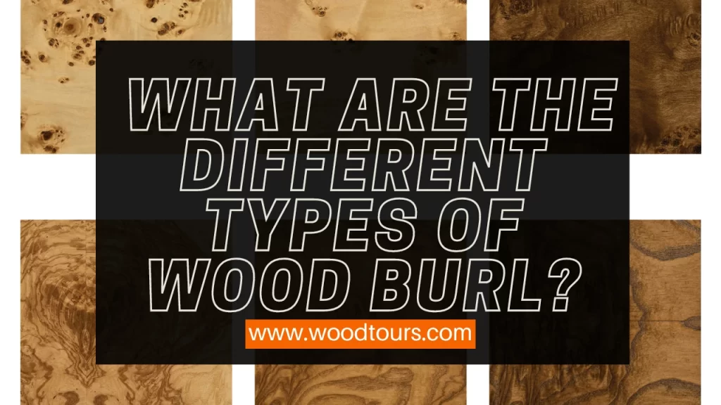 What Are the Different Types of Wood Burl?