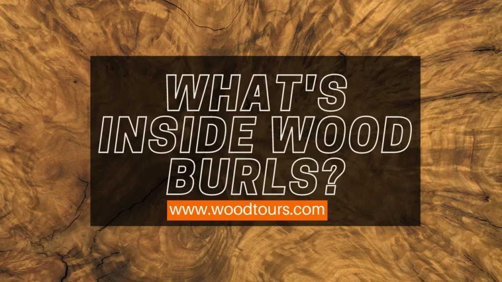 What's Inside Wood Burls?