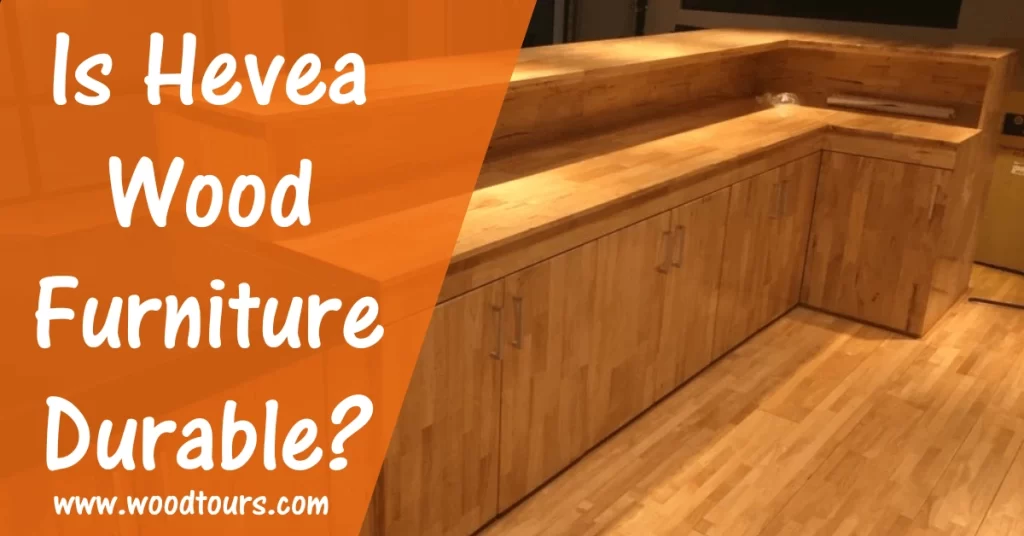 Is Hevea Wood Furniture Durable?