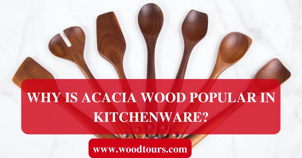Why is Acacia Wood Popular in Kitchenware? 2023