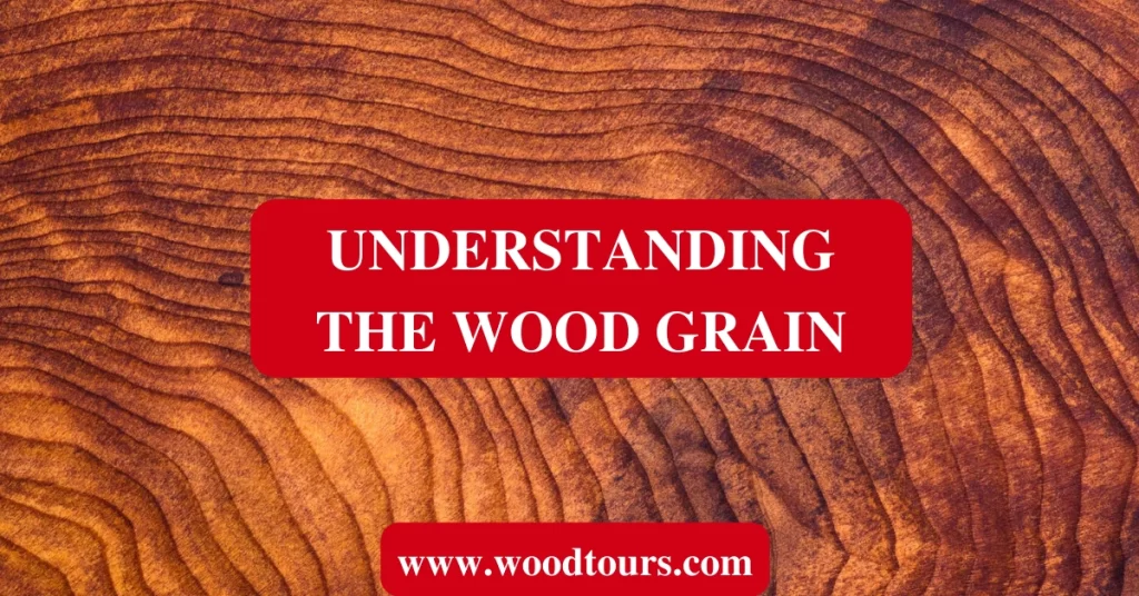 Understanding the Wood Grain