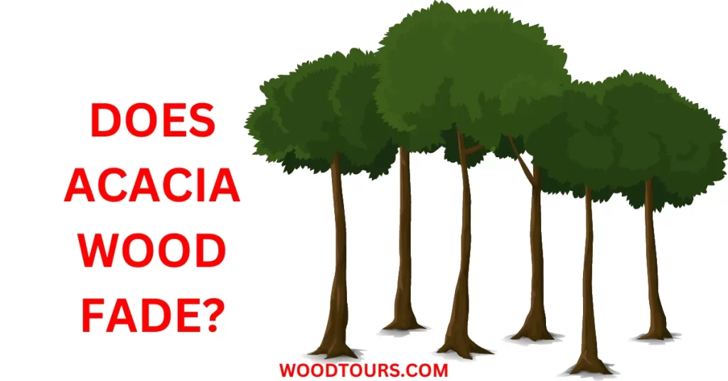 Does acacia wood fade?